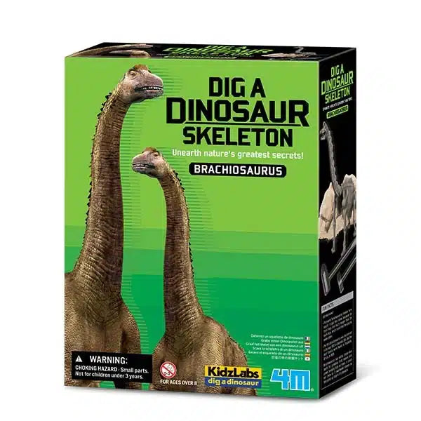 4M - kidzlabs - grabe deinen Brachiosaurus aus