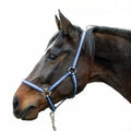 Abi producten hippo halster blauw 3 full