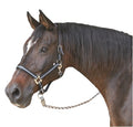 Abi producten mustang halster 2x verst zwartzilver 1 pony
