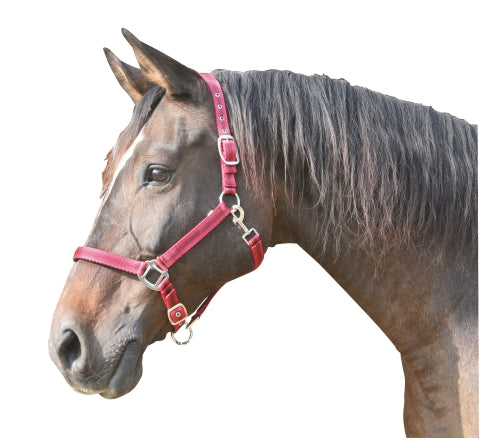 Abi producten mustang halster 2x verst roodzwart 2 cob