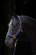 Abi producten topline halster blauw 2 cob