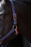 Abi producten classy halster veulenshetland marine