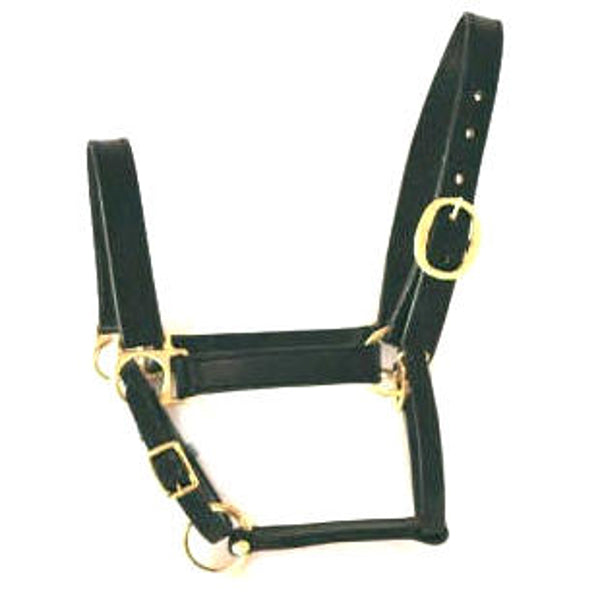 Producten halster leer zwart cob
