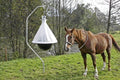 Producten dazenval taonx compleet