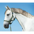 Abi producten hippo halster antralemon 2 cob