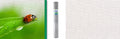 Giardino producten geweven ijzergaas verzinkt 28040 100 cm x 1m