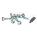 Ako producten schroef 45x35mm tx25 verzinkt 100 st plus bit