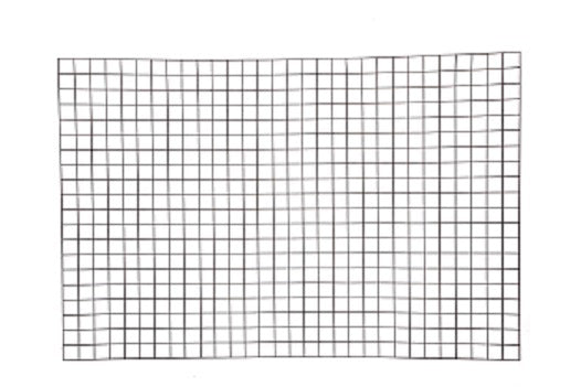Giardino producten bologna draadpaneel 5x5cm x 150cm x 100cm ral 7016 antraciet