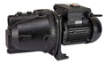 Kinpumps producten tuinpomp gietijzer jet hrd 100