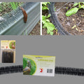 Producten slakkenborstel 100cm 4 stuks
