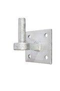 Waelbers producten duim rond19mm op plaat 10x10 fv