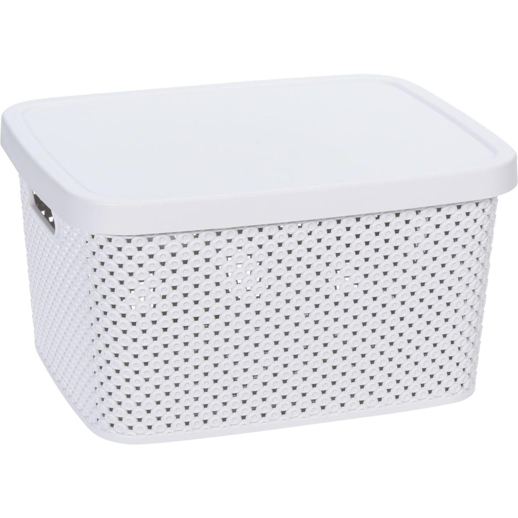 Storage solutions opbergdoos met deksel 7 liter 27,4x22x15cm kunststof 4ass