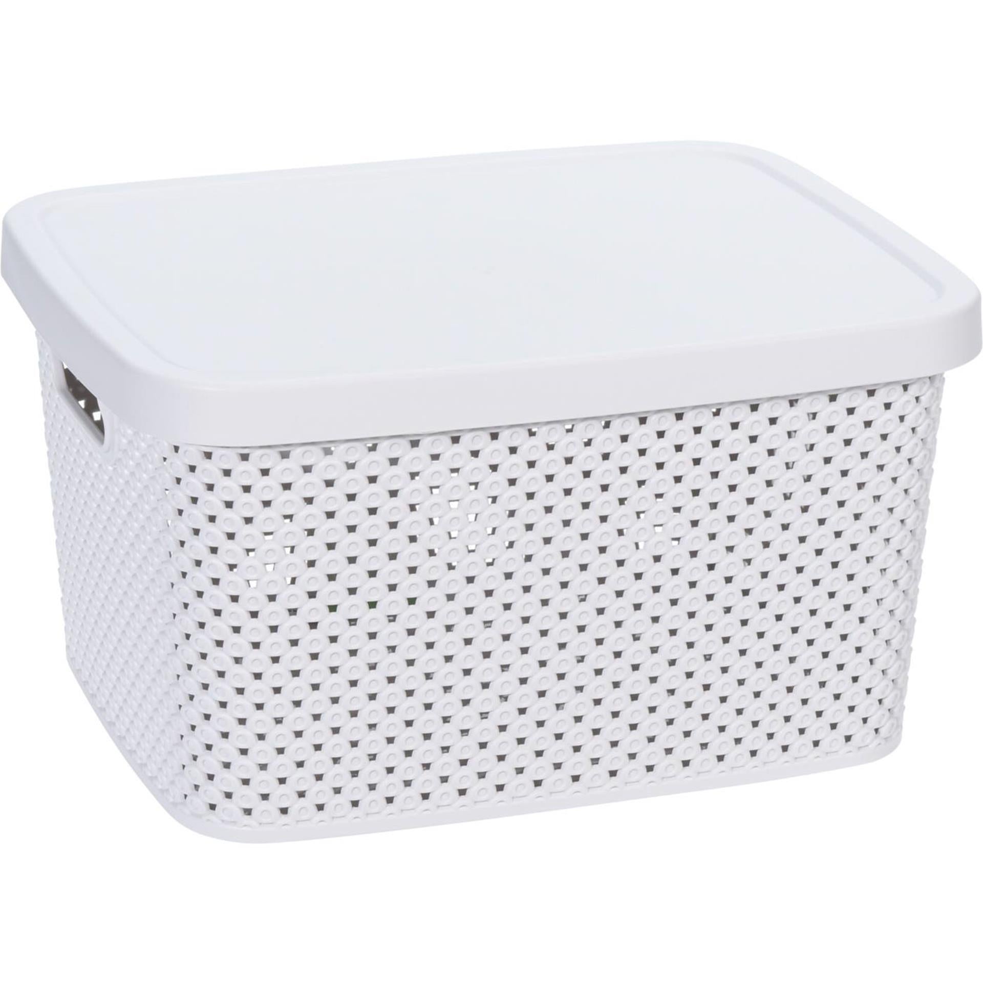 Storage solutions opbergdoos met deksel 7 liter 27,4x22x15cm kunststof 4ass