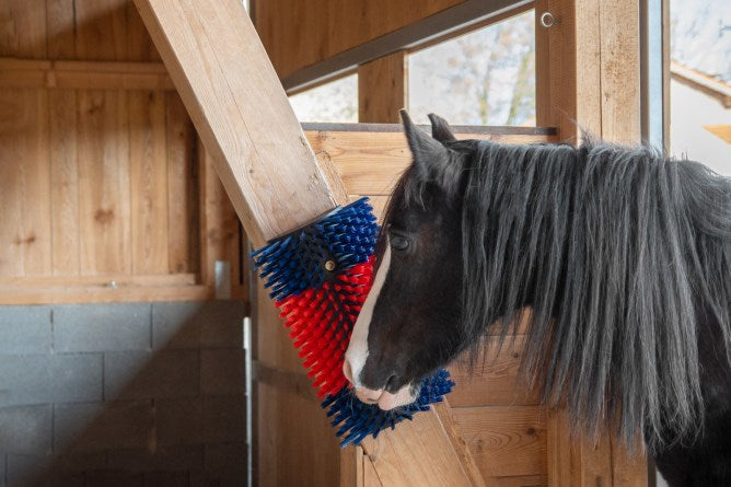 Producten halfronde koeborstel veeborstel blauwrood xl