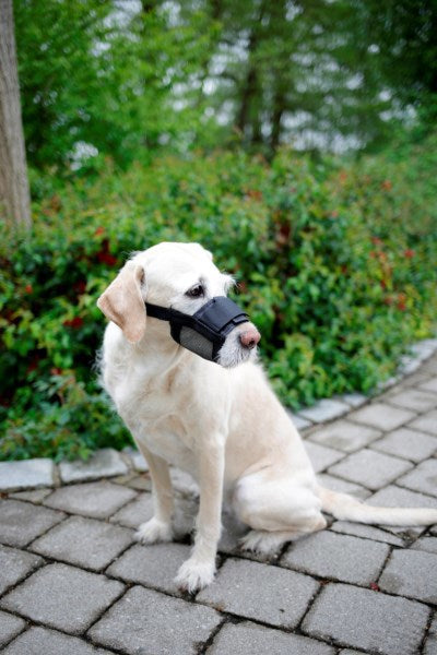 Nylon muilkorf hond mt l zwart