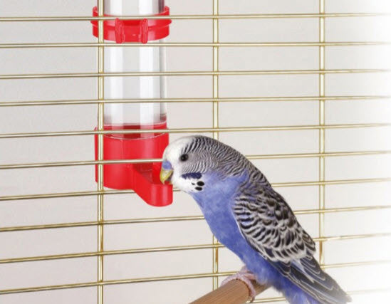 Kerbl producten vogeldrinkbak 16 cm 130 ml