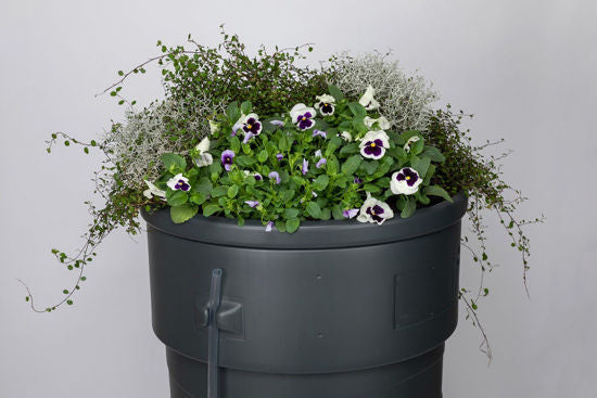 Regenton gardenplanter 230l