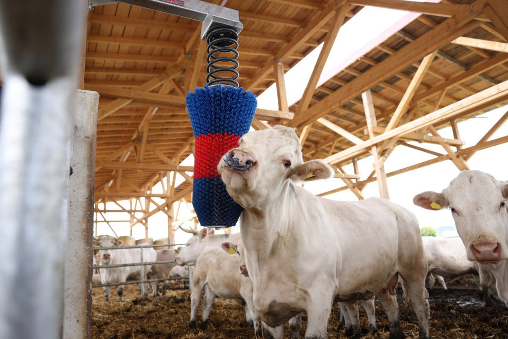 Producten happycow veeborstel flexiswing