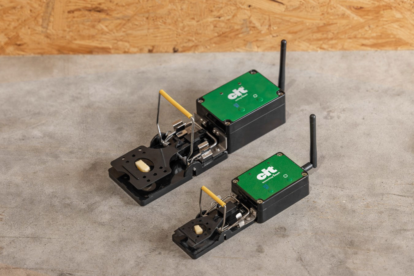 Muizenval smart cit mousestop