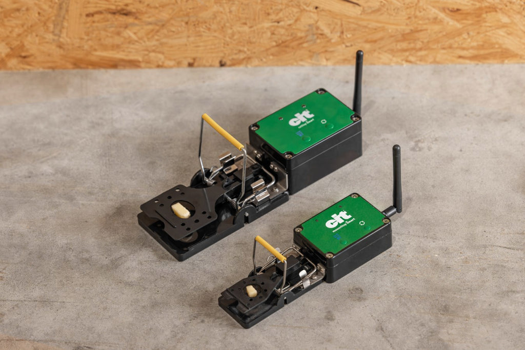 Rattenval smart cit ratstop