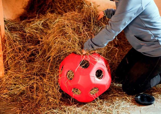 Producten voederspeel bal rood
