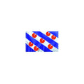 Vlag friesland 90x150cm 75d polyester