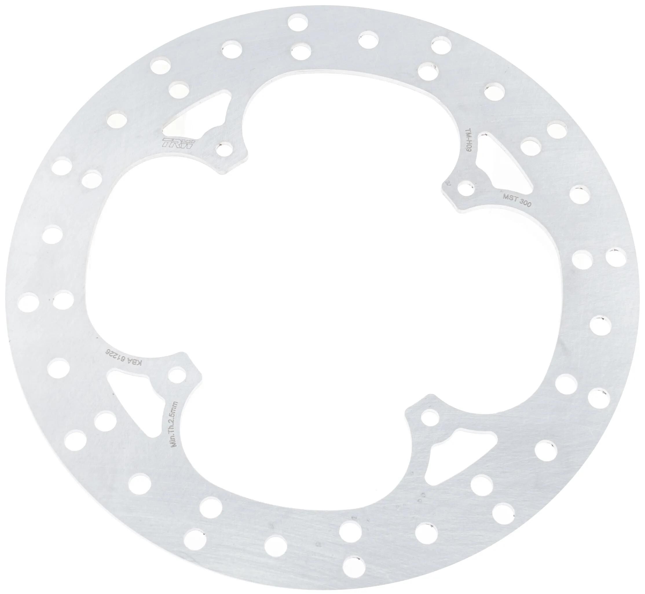 Trw remschijf mst300 rotor mst300 rigid