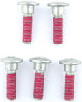 Trw schraubensatz screw set 5pcs. m8x1,25