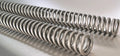 Wirth gabelfedernsatz fork spring set 2021 polished
