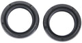 All balls racing gabelsimmerringsatz fork seal set abr 55-103