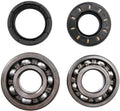 All balls racing kurbelwellenlagersatz crankshaft bearing set ab 24-1023 with simmerrings
