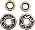 All balls racing kurbelwellenlagersatz crankshaft bearing set ab 24-1102 with simmerrings