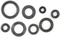 Athena motorsimmerringsatz motorshield ns 125 r,