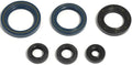 Athena motorsimmerringsatz motorshield 125 gs mx, 87-94,