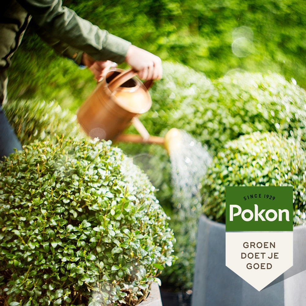 Pokon producten bio buxus ilex voeding 500 ml