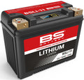 Bs-battery lifepo4 batterie bsli-11 battery li11 bs lithium