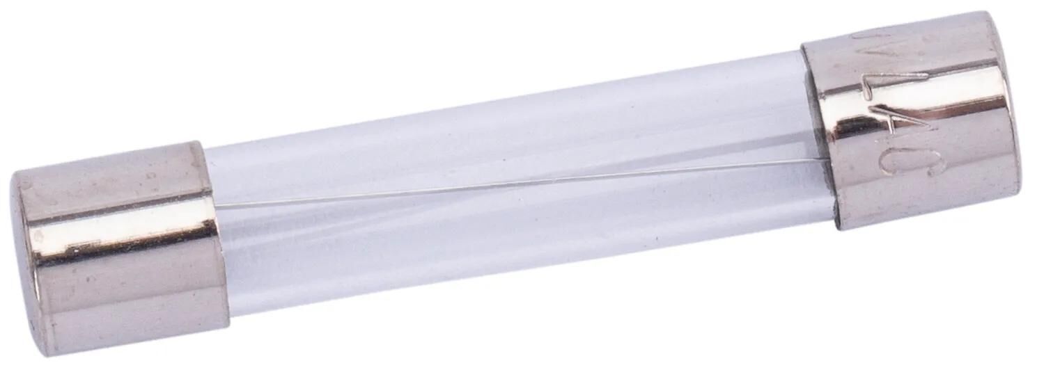Spahn glaszekering glass fuses 10a 6x32 mm (10pcs)