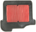 Hiflofiltro luchtfilter air filter hfa-4921