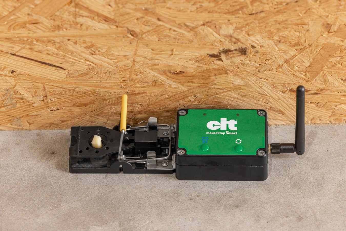 Muizenval smart cit mousestop