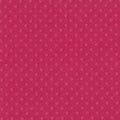 Bazzill • dot swiss 30,5x30,5cm pirouette