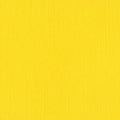 Bazzill • mono canvas 30,5x30,5cm yellow