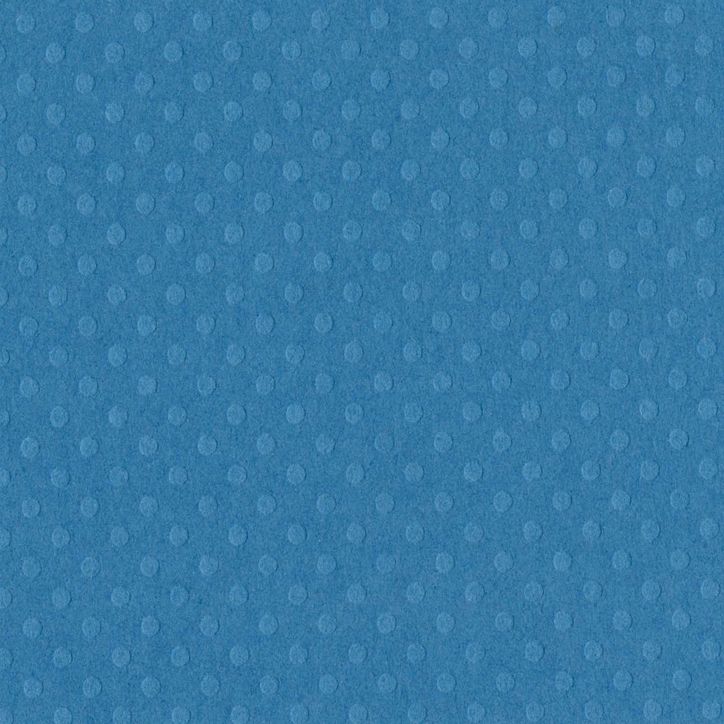Bazzill • dot swiss 30,5x30,5cm surfs up