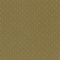Bazzill • dot swiss 30,5x30,5cm mud puddle