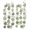 Boltze home guirlande capiz fine 180cm groen