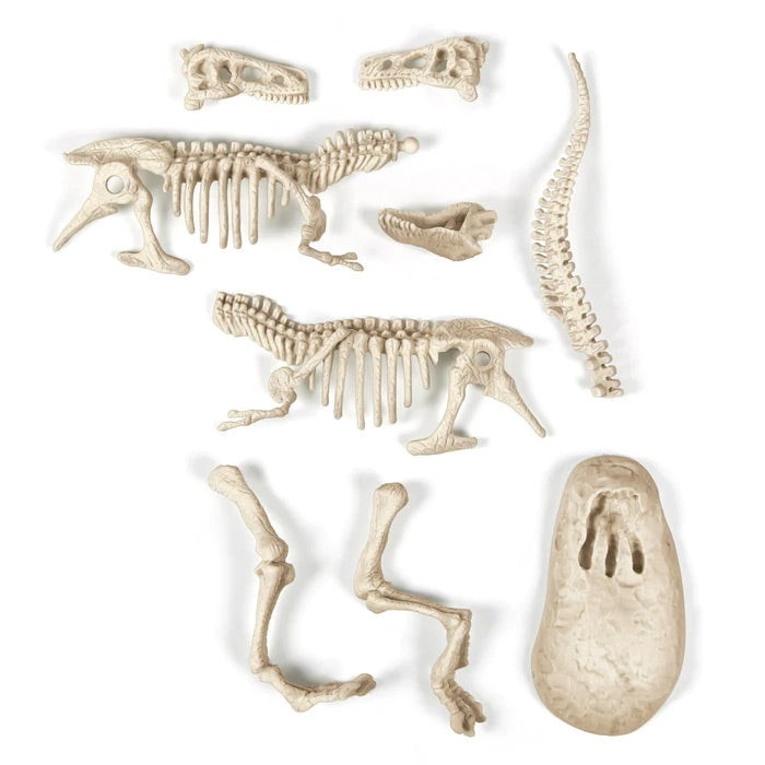 Clementoni wetenschap spel archeospel - t-rex fluo