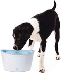 Dog it hagen drinkfontein - wit - 6 l