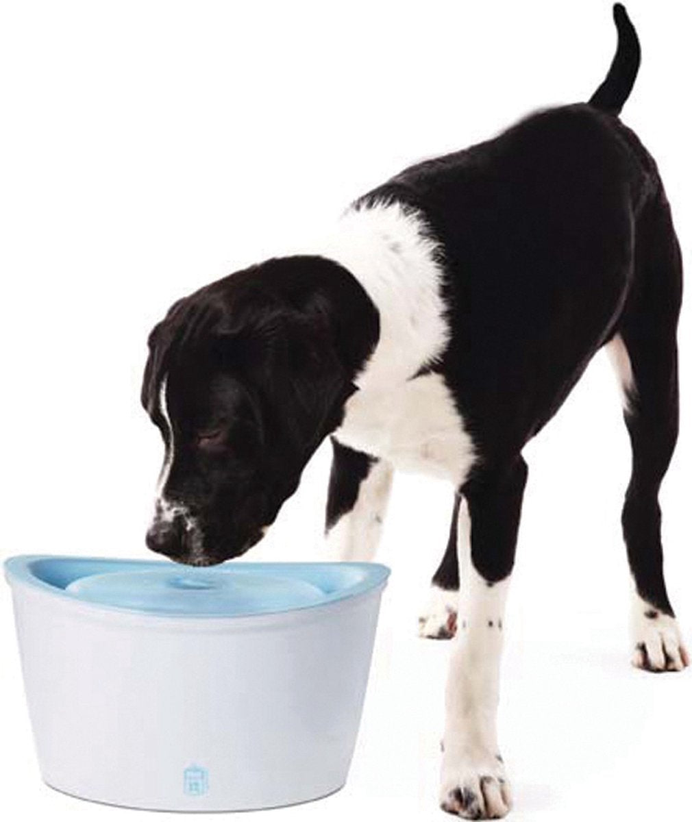 Dog it hagen drinkfontein - wit - 6 l