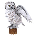 Cubic fun 3d puzzel national geographic sneeuw uil