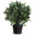 Kunstplant paperflow le laurel 50 cm