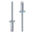 Masterfix popnagel 4.8x16mm st st (500)